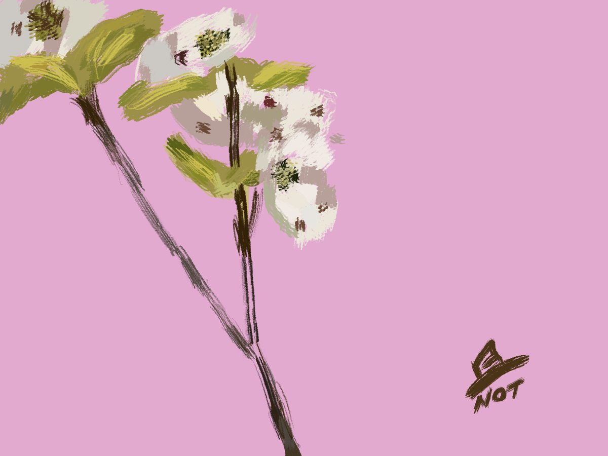 Fleurs sur fond rose